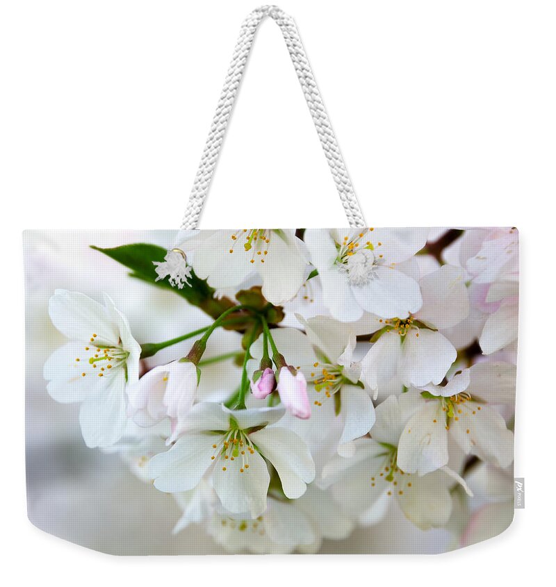Cherry Blossoms Weekender Tote Bag featuring the photograph Cherry Blossoms No. 9123 by Georgette Grossman