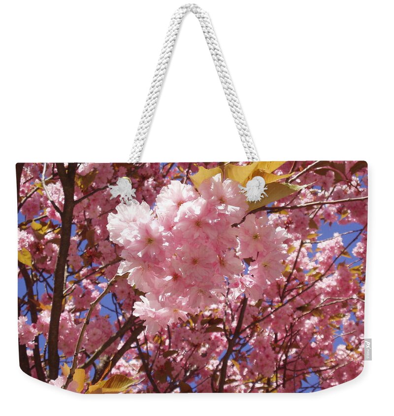 Spring In The City Weekender Tote Bag featuring the photograph Cherry trees blossom by Rosita Larsson
