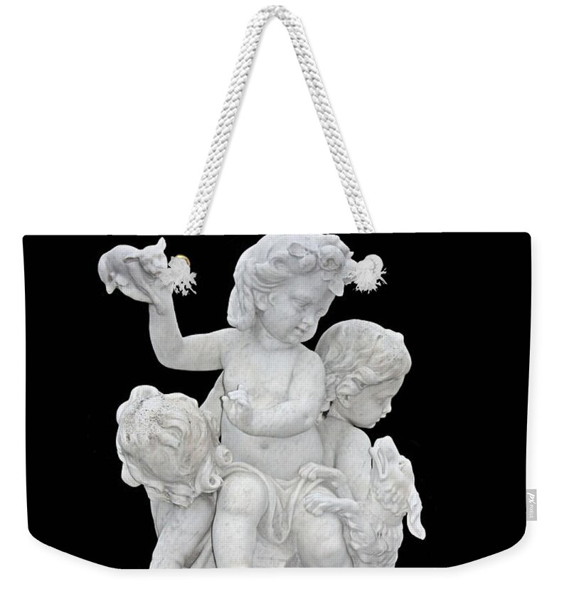 Cherubs Weekender Tote Bag featuring the photograph Cherubs with Dog and Puppy by Kristin Elmquist
