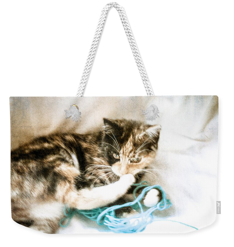 Cute Weekender Tote Bag featuring the photograph Chica by Spikey Mouse Photography