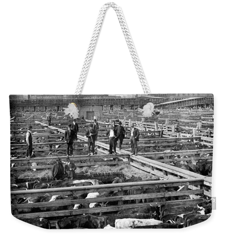 Meat Packing Industry Weekender Tote Bag featuring the photograph Chicago, Union Stock Yard, 1909 by Science Source