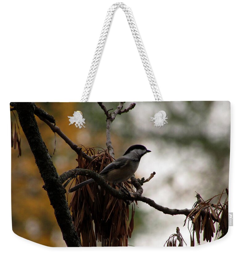 Chickadee Weekender Tote Bag featuring the photograph Chickadee in a Tree by Kimberly Mackowski