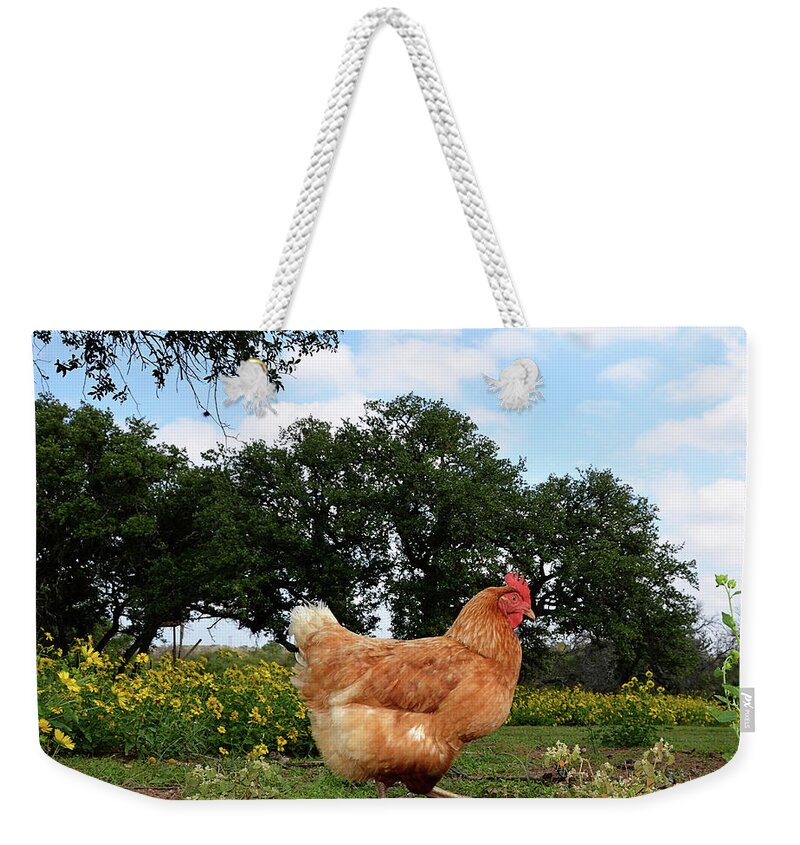 Hen Weekender Tote Bag featuring the photograph Chicken Walk by Jessica Lynn Culver