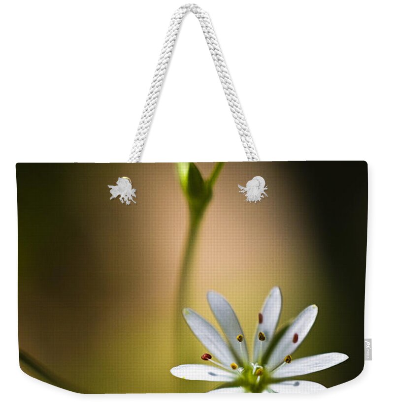 Chickweed Weekender Tote Bag featuring the photograph Chickweed Blossom and Bud by Marty Saccone