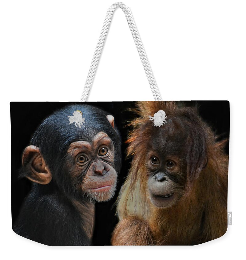 Animals Weekender Tote Bag featuring the photograph Children Of The Evolution by Joachim G Pinkawa