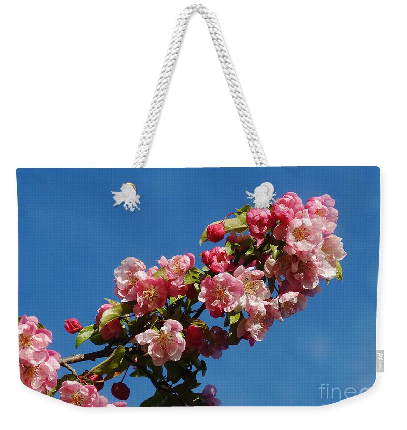 Nature Weekender Tote Bag featuring the photograph Chinese Apple 2 by Rudi Prott