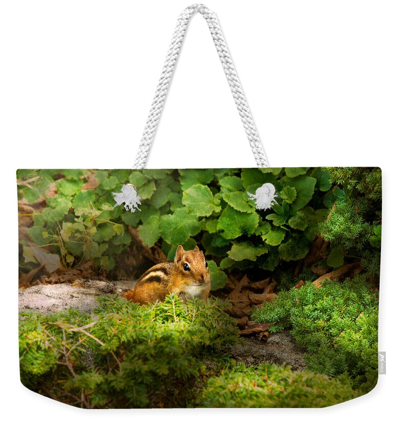 Chipmunk Weekender Tote Bag featuring the photograph Chipmunk - What a cutie by Mike Savad