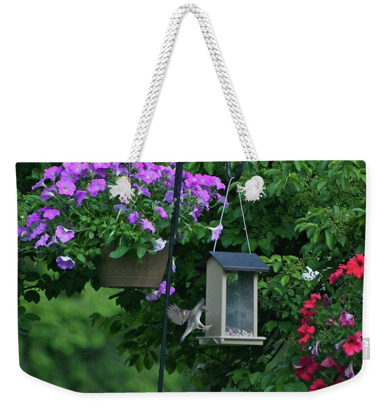 Animals Weekender Tote Bag featuring the photograph Chow Time for this Bird by Thomas Woolworth