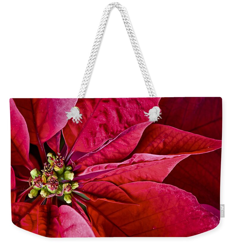 Bloom Weekender Tote Bag featuring the photograph Christmas Petals by Christi Kraft