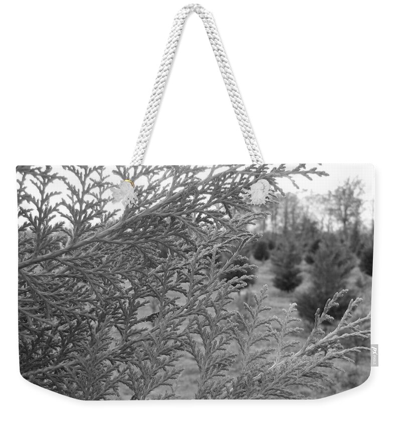 Trees Weekender Tote Bag featuring the photograph Christmas Trees by Beth Vincent