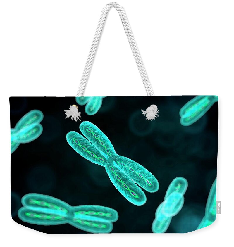 Physiology Weekender Tote Bag featuring the digital art Chromosomes, Artwork by Science Photo Library - Sciepro