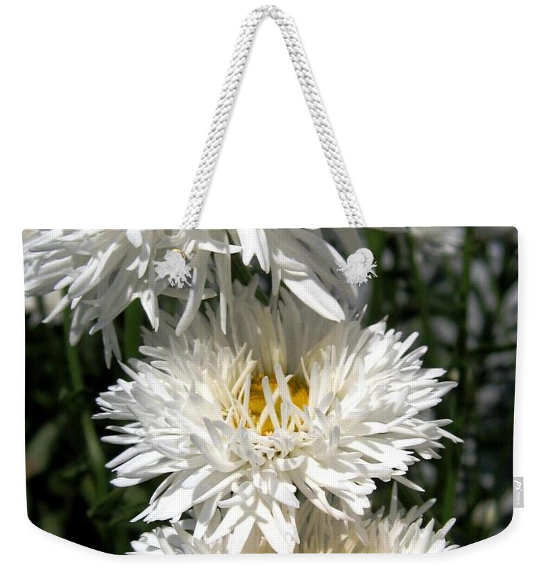Mccombie Weekender Tote Bag featuring the photograph Chrysanthemum named Crazy Daisy by J McCombie