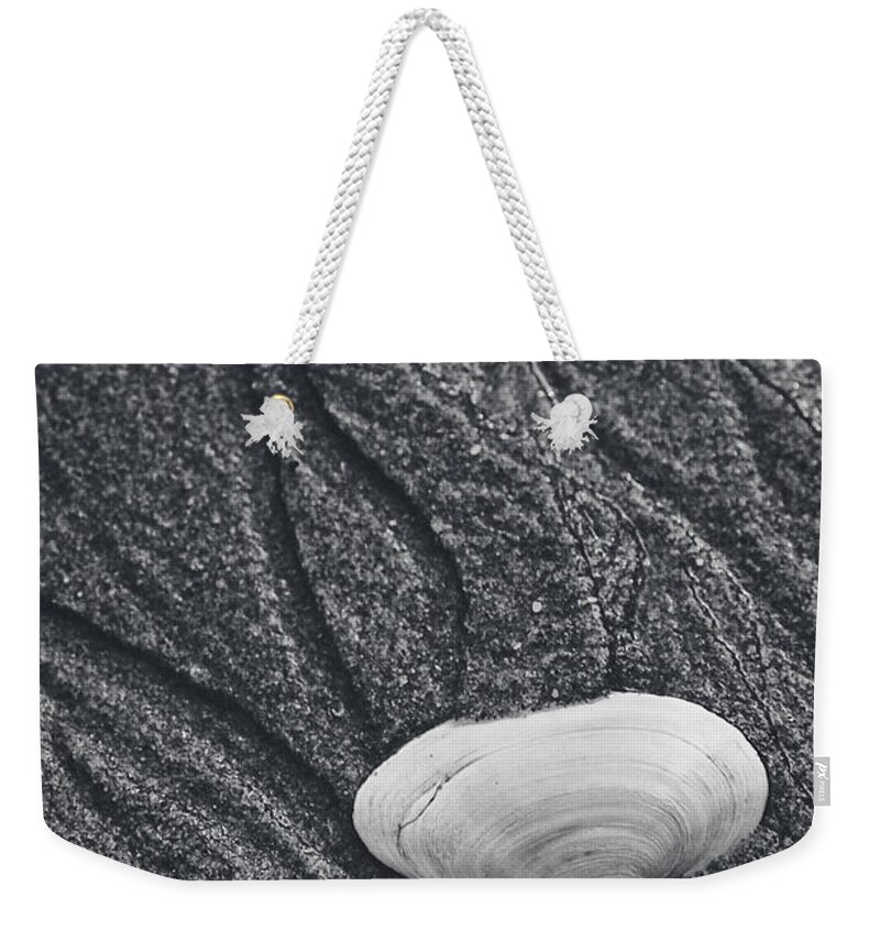 Clam Weekender Tote Bag featuring the photograph Clam Shell by Alana Ranney