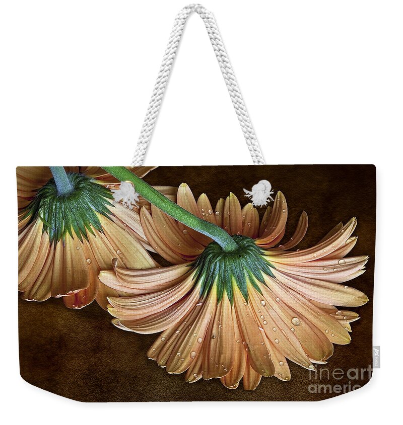 Gerbers Weekender Tote Bag featuring the photograph Classy Down by Shirley Mangini