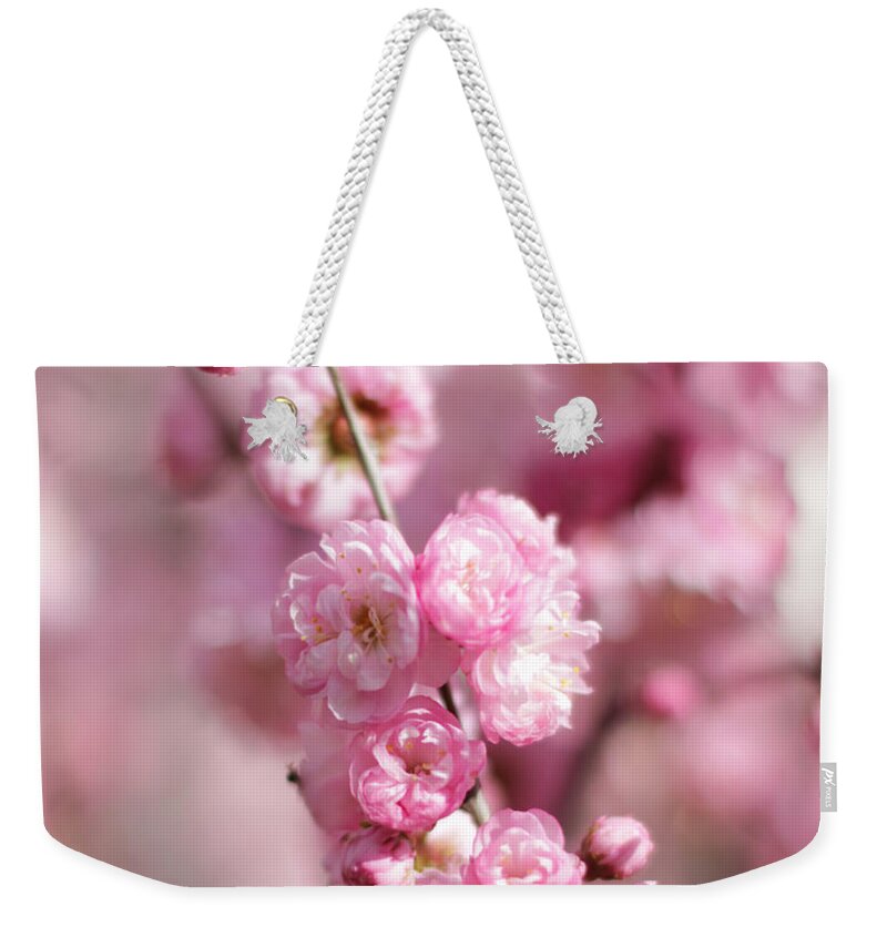 Pink Plum Branch Weekender Tote Bag featuring the photograph Clear Image Plum by Donna L Munro