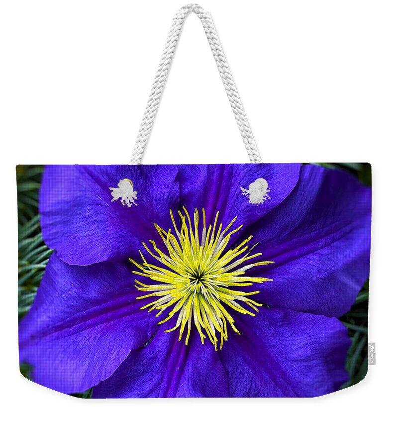 Clematis Weekender Tote Bag featuring the photograph Clematis 5 by Ingrid Smith-Johnsen