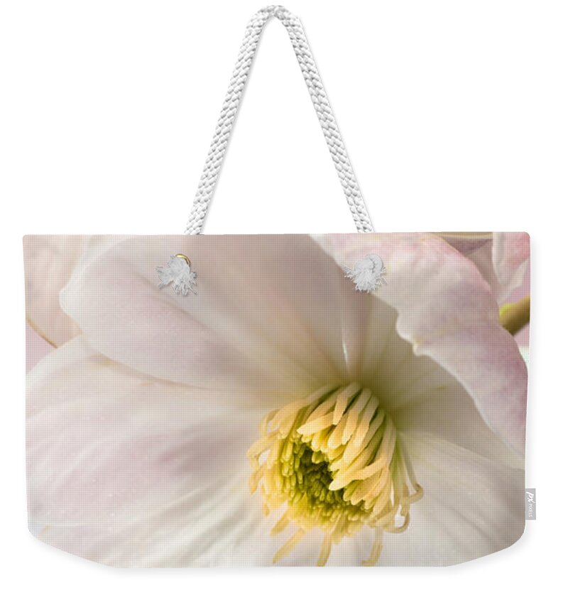 Clematis Weekender Tote Bag featuring the photograph Clematis Flowers 2 by Jan Bickerton