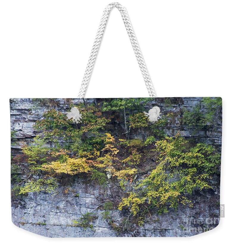 Fort Payne Weekender Tote Bag featuring the photograph Cliff Hanging by Bob Phillips