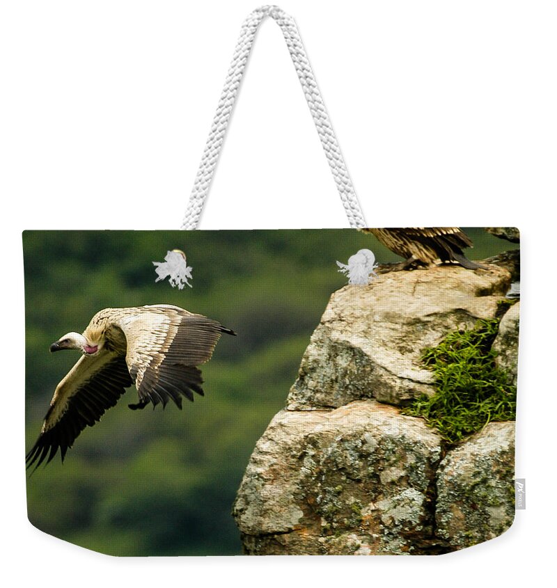 Africa Weekender Tote Bag featuring the photograph Cliff takeoff by Alistair Lyne