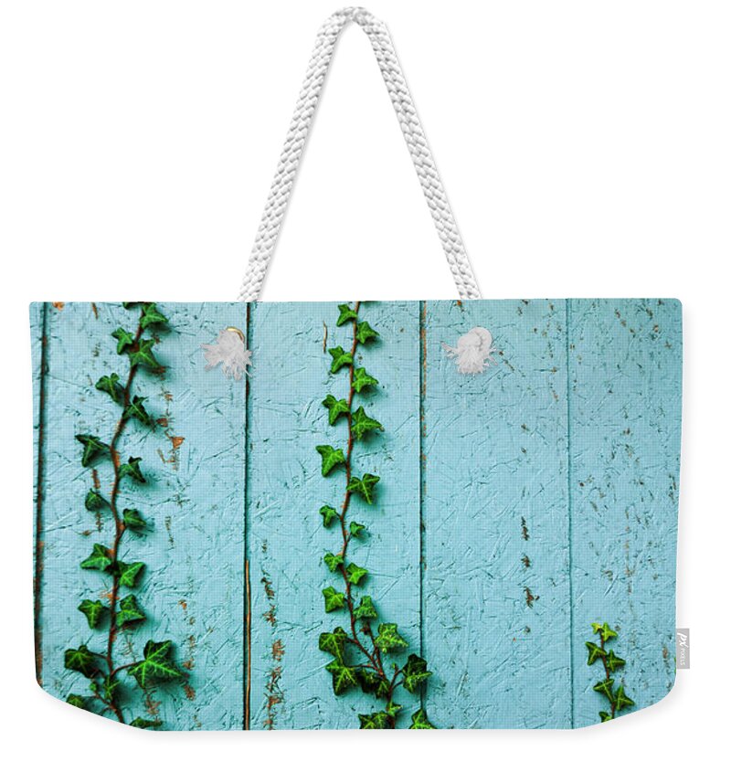 Climb Weekender Tote Bag featuring the photograph Climbing Ivy by Amy Cicconi