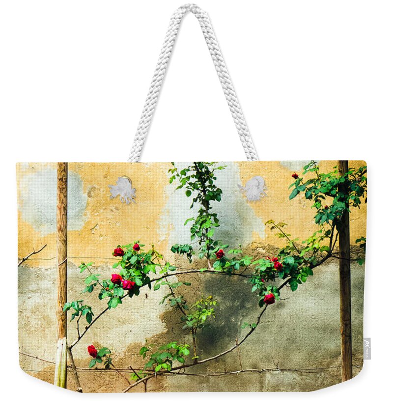 Beautiful Weekender Tote Bag featuring the photograph Climbing rose plant by Silvia Ganora