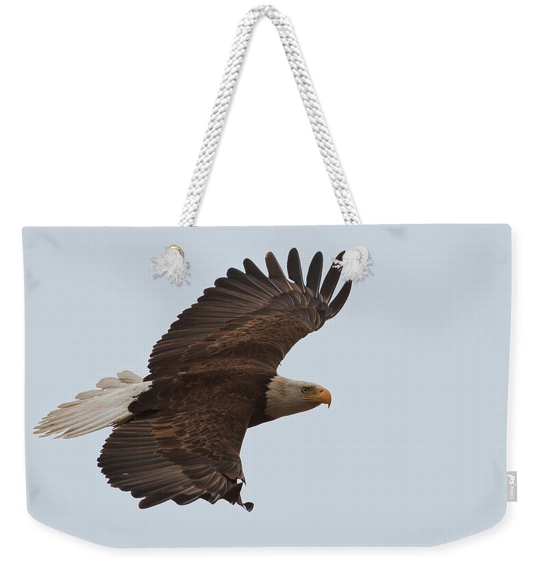 Bald Eagle Weekender Tote Bag featuring the photograph Close Encounter of the Best kind by Beth Sargent