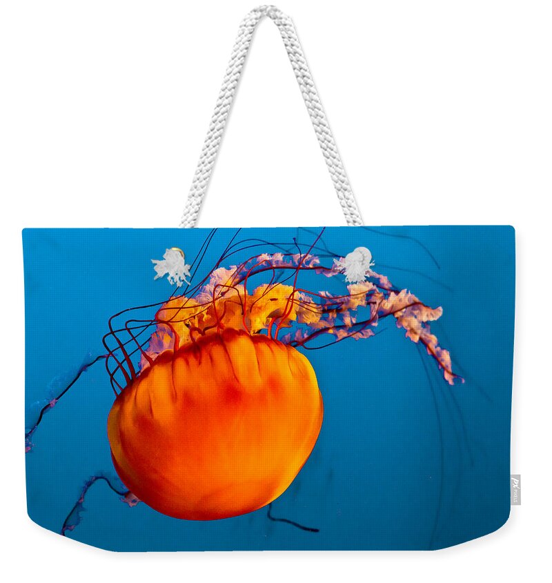 Jelly Fish Weekender Tote Bag featuring the photograph Close up of a Sea Nettle jellyfis by Eti Reid