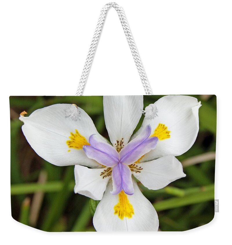 Dietes Weekender Tote Bag featuring the photograph Close up of an Iris by Anonymous