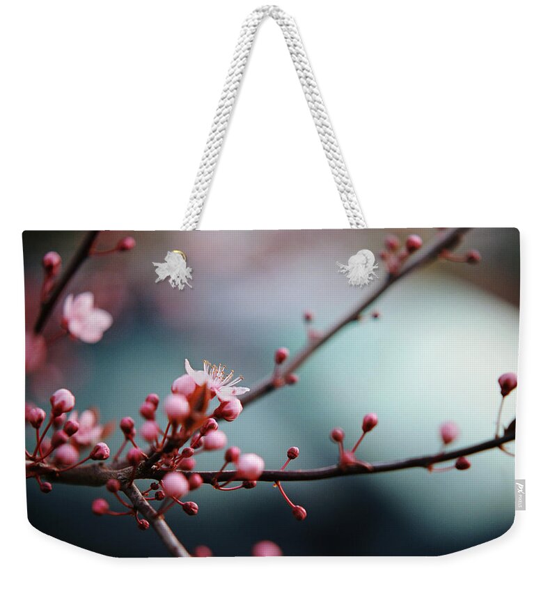 Outdoors Weekender Tote Bag featuring the photograph Close-up Of Plum Blossoms by Danielle D. Hughson