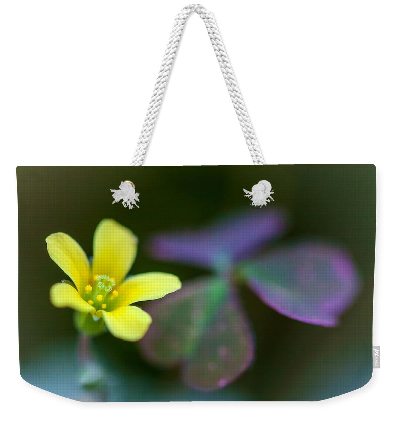 Nature Weekender Tote Bag featuring the photograph Clover's Blossom by Jonathan Nguyen