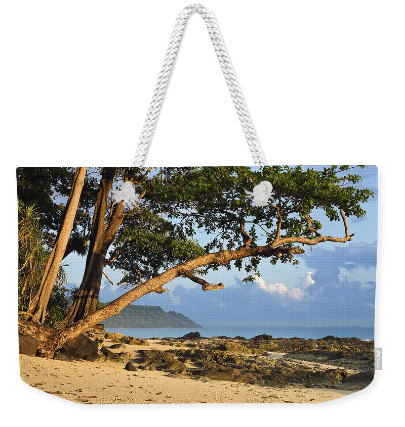 Feb0514 Weekender Tote Bag featuring the photograph Coastal Rainforest Havelock Isl India by Konrad Wothe