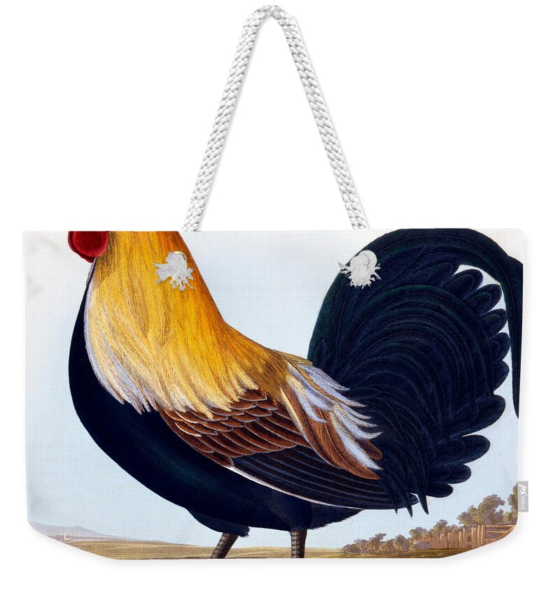 Bird Weekender Tote Bag featuring the painting Cock by CLE Perrott