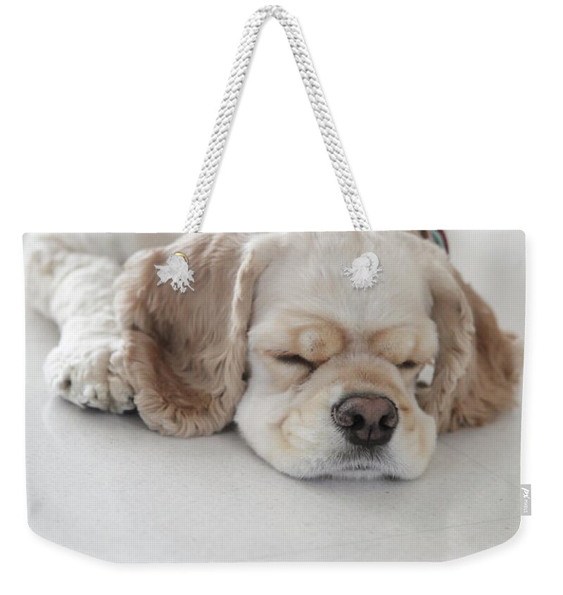 Pets Weekender Tote Bag featuring the photograph Cocker Spaniel Dog Sleeping by Tricia Shay Photography