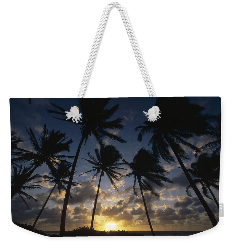 Feb0514 Weekender Tote Bag featuring the photograph Coconut Palm Trees At Sunrise St by Gerry Ellis