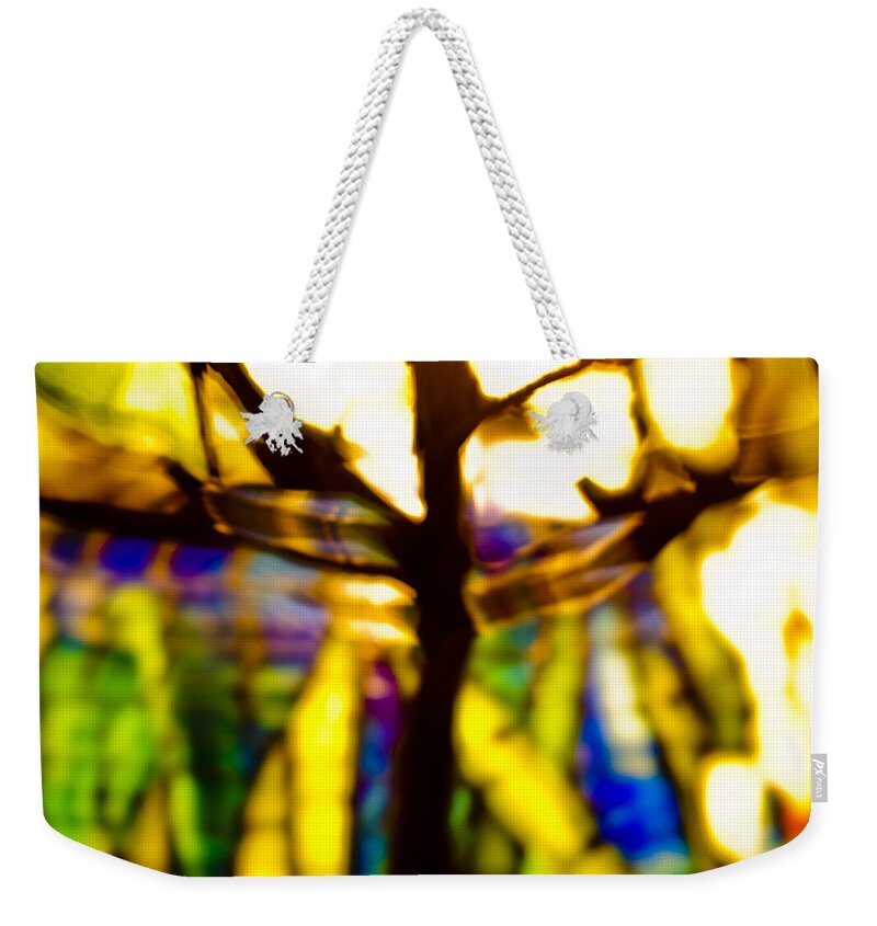Abstract Weekender Tote Bag featuring the photograph Color Aflame by Christi Kraft