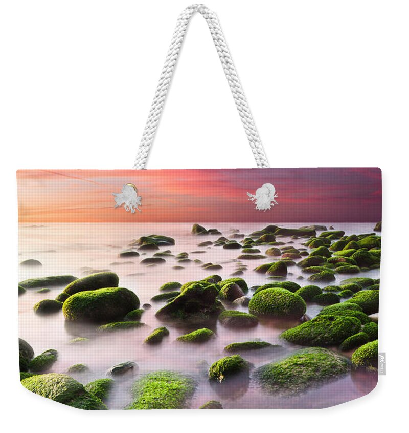 Beach Weekender Tote Bag featuring the photograph Color Harmony by Jorge Maia