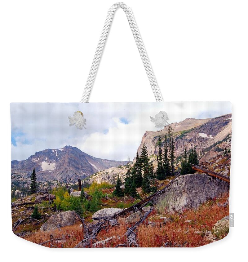 Colorado Weekender Tote Bag featuring the photograph Colorado Autumn Color Landscape by Cascade Colors