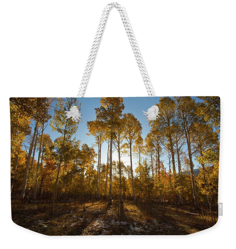 Tranquility Weekender Tote Bag featuring the photograph Colorado Fall Colors by Victoria Chen