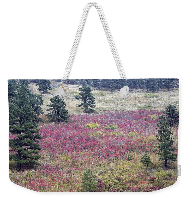 Red Weekender Tote Bag featuring the photograph Colorado Red by James BO Insogna