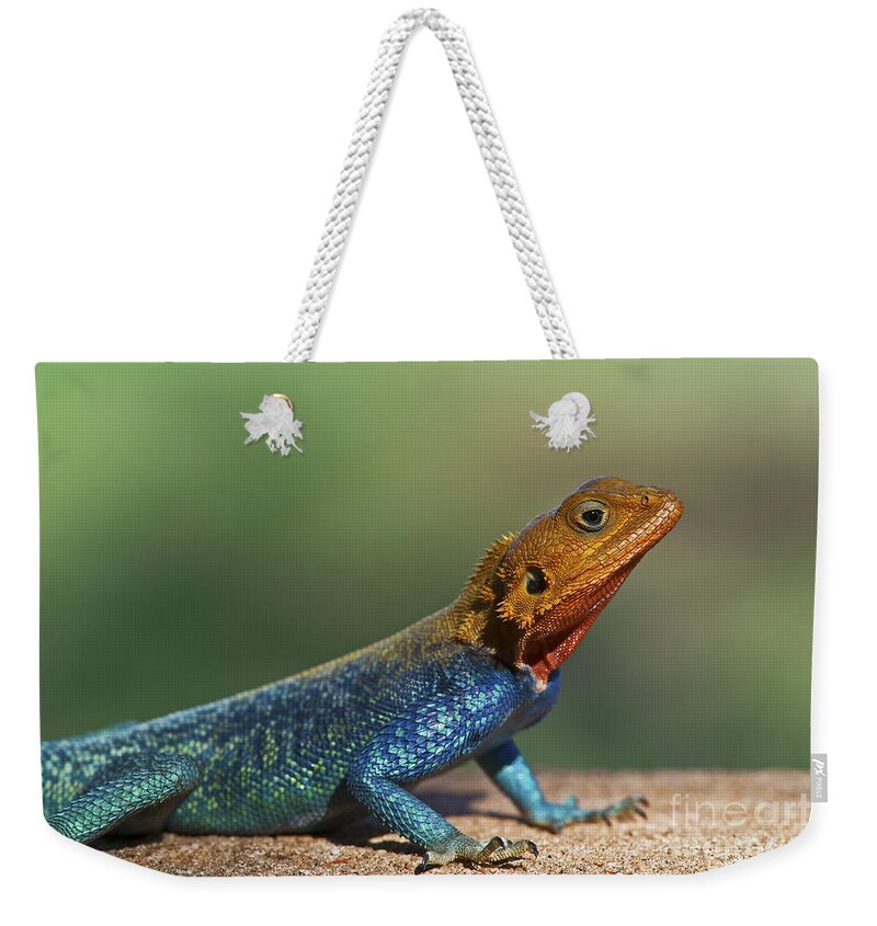 Festblues Weekender Tote Bag featuring the photograph Colorful Awesomeness... by Nina Stavlund