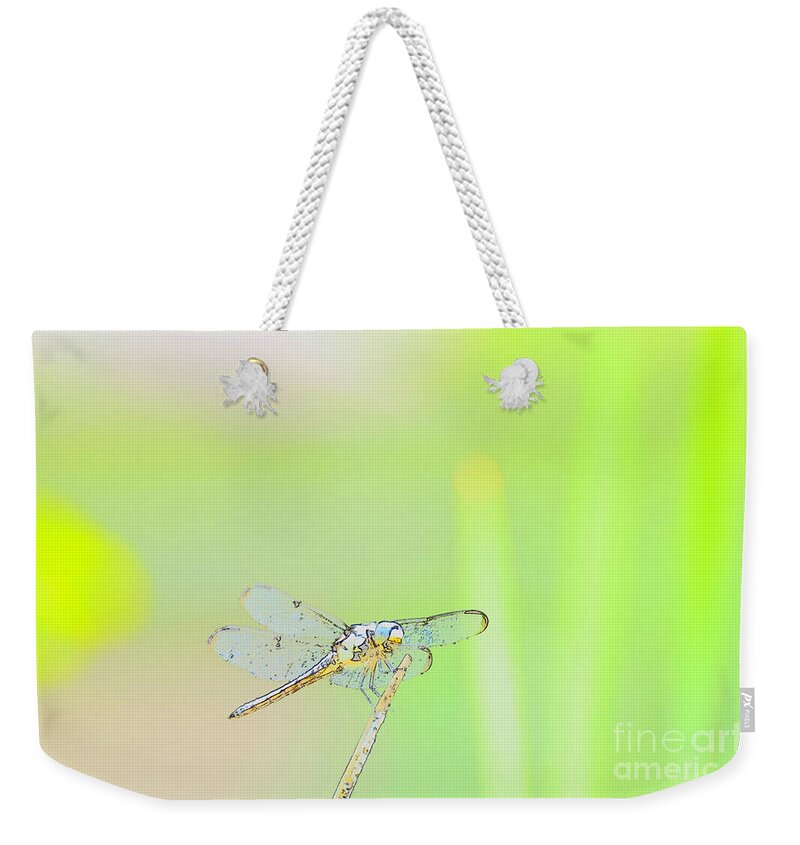 Insect Weekender Tote Bag featuring the photograph Colorful Dragonfly by Donna Brown