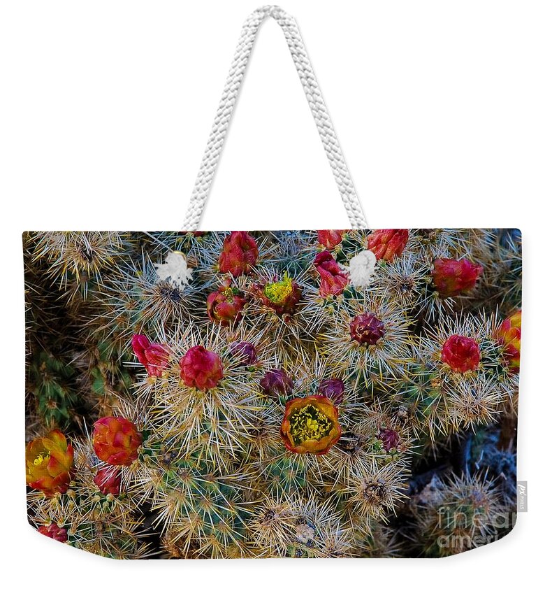 Blue Skies Weekender Tote Bag featuring the photograph CoLoRS by Angela J Wright