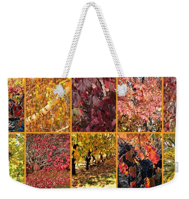 Colors Of Autumn Collage Weekender Tote Bag featuring the photograph Colors of Autumn Collage by Carol Groenen