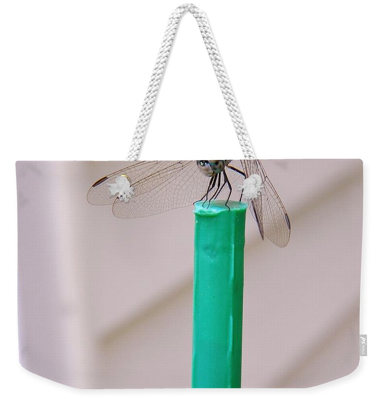 Drafonfly Weekender Tote Bag featuring the photograph Colors Of Summer by Matthew Seufer