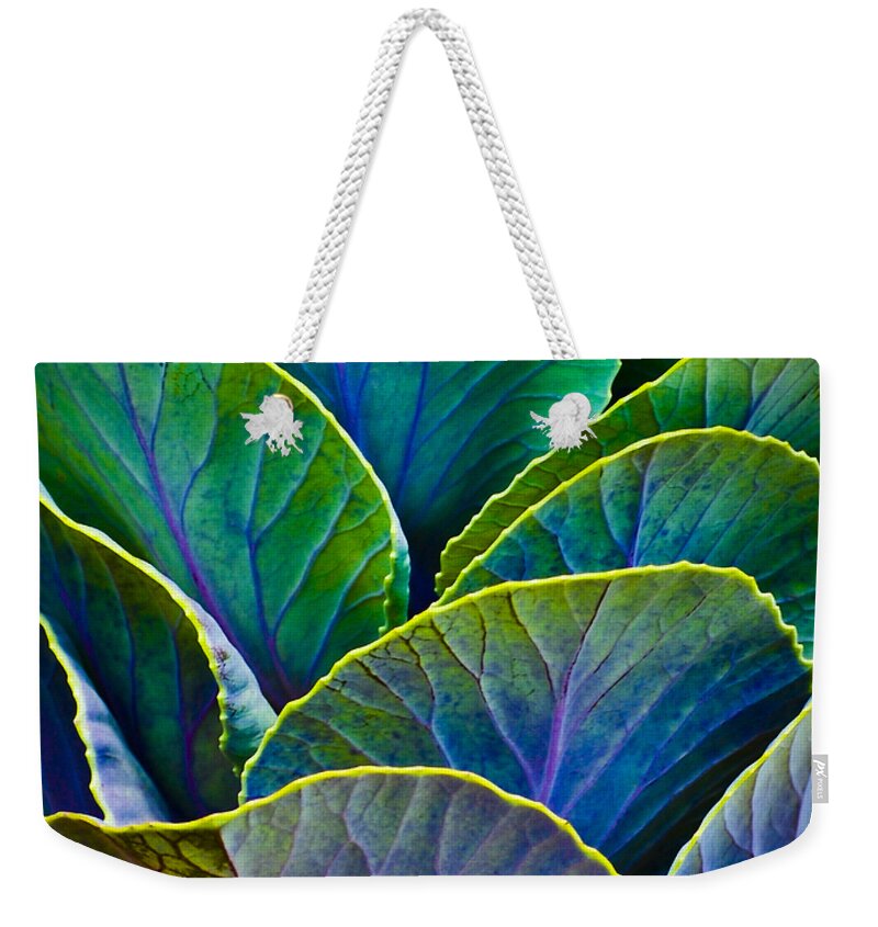 Organic Weekender Tote Bag featuring the photograph Colors of the Cabbage Patch by Christi Kraft