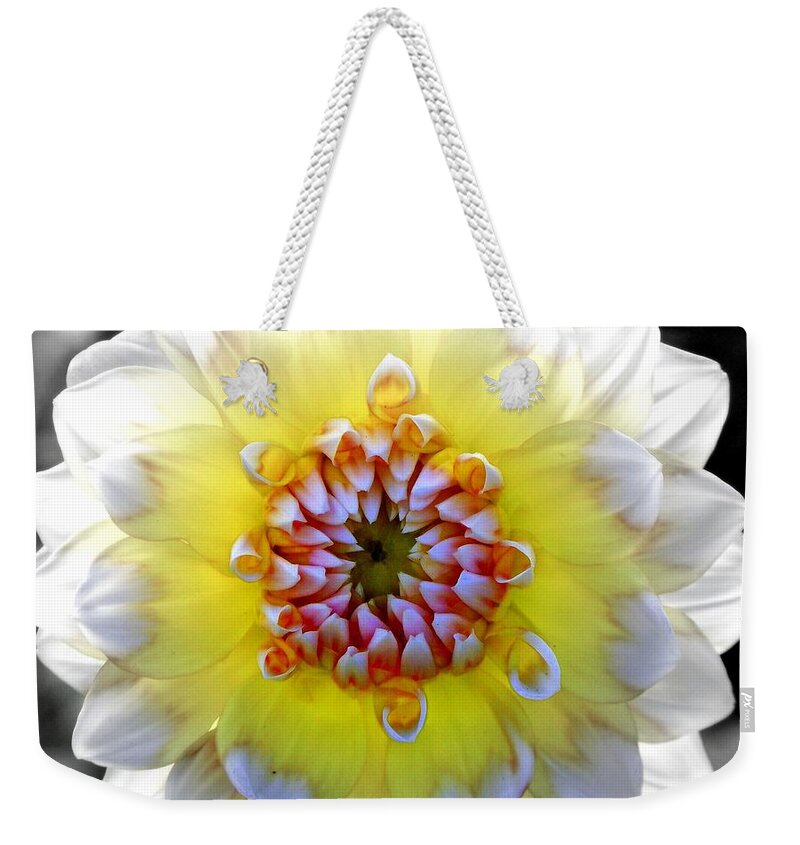 Flowers Weekender Tote Bag featuring the photograph Colorwheel by Karen Wiles