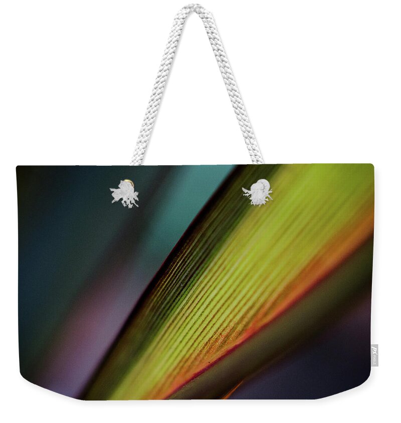 Outdoors Weekender Tote Bag featuring the photograph Colourful Backlit Foliage by Copyright Alan Drake