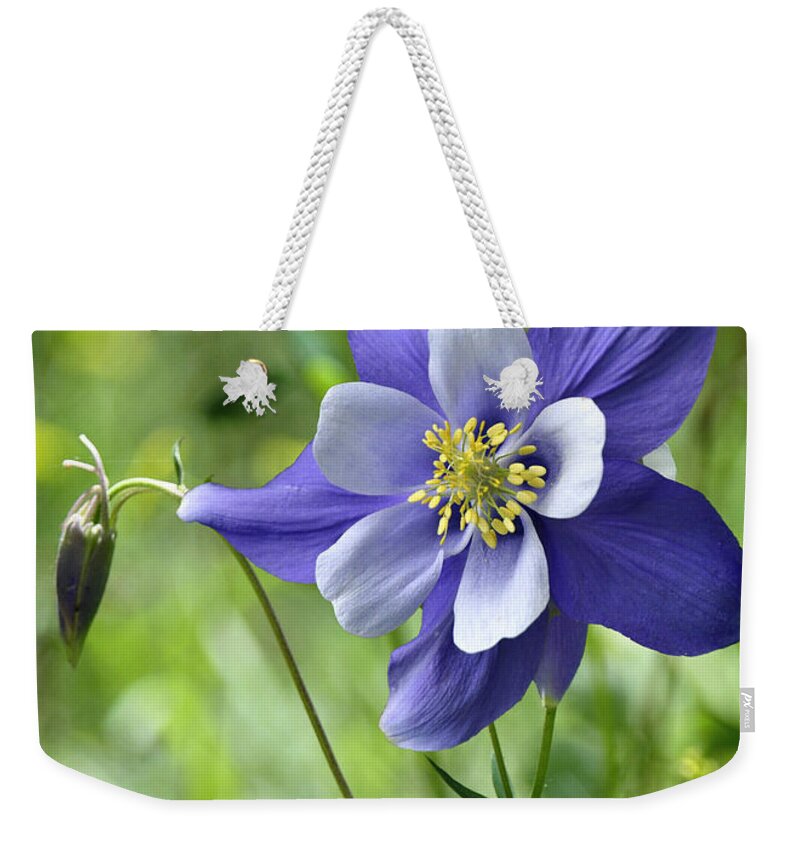 Blossums Weekender Tote Bag featuring the photograph Columbine card by Lena Owens - OLena Art Vibrant Palette Knife and Graphic Design