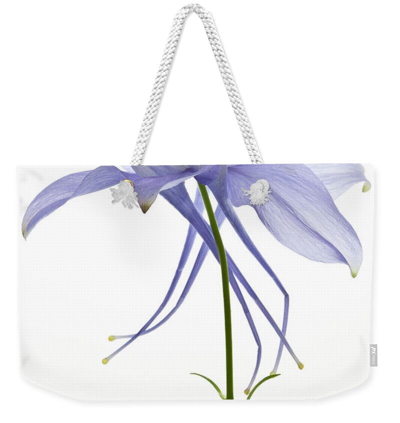 White Background Weekender Tote Bag featuring the photograph Columbine Flower by Photo By John Rice