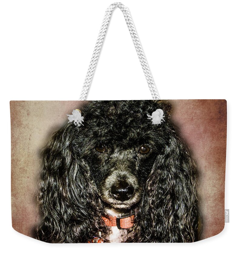 Coal Weekender Tote Bag featuring the photograph Come on Make my Day by Judy Hall-Folde